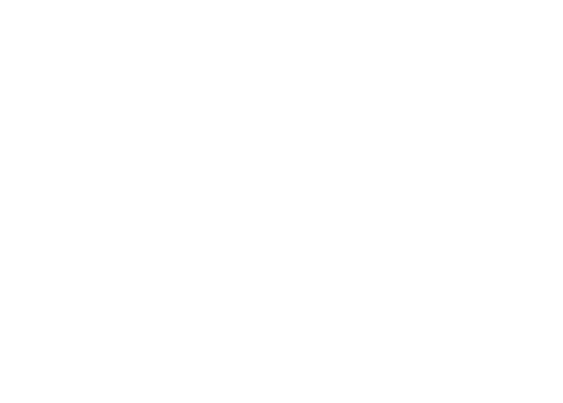 Farfalla steht f r Wiedergeburt und Verwandlung, f r den Schritt nach vorn und die Evolution. Aus konsolidierten Tech...