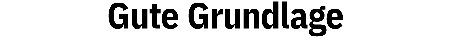 Gute Grundlage 