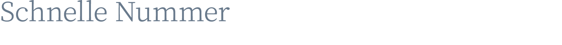 Schnelle Nummer 