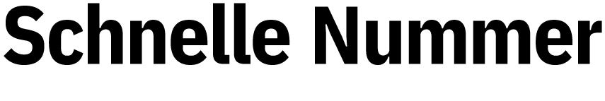 Schnelle Nummer 
