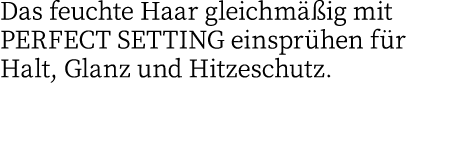Das feuchte Haar gleichmäßig mit PERFECT SETTING einsprühen für Halt, Glanz und Hitzeschutz 