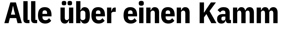 Alle über einen Kamm 