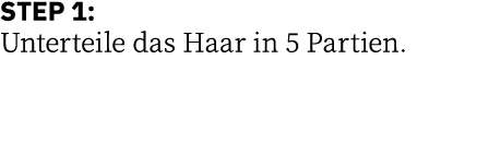 STEP 1: Unterteile das Haar in 5 Partien 