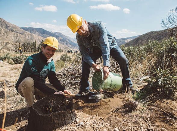 Here you will find pictures of Reforest’Action projects financed by Paul Mitchell in Peru, USA and Haiti