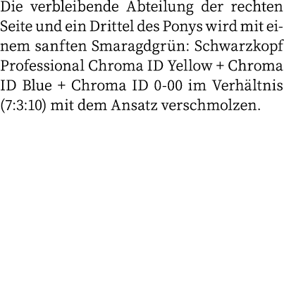 Die verbleibende Abteilung der rechten Seite und ein Drittel des Ponys wird mit einem sanften Smaragdgrün: Schwarzkop   