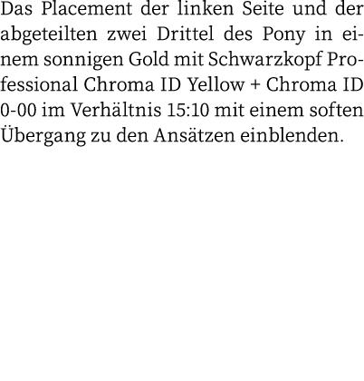 Das Placement der linken Seite und der abgeteilten zwei Drittel des Pony in einem sonnigen Gold mit Schwarzkopf Profe   