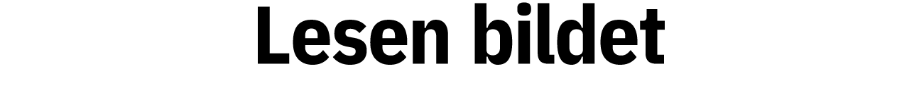Lesen bildet  