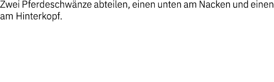 Zwei Pferdeschwänze abteilen, einen unten am Nacken und einen am Hinterkopf 