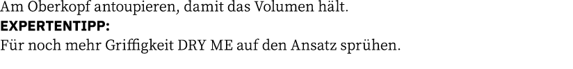 Am Oberkopf antoupieren, damit das Volumen hält  EXPERTENTIPP: Für noch mehr Griﬃgkeit DRY ME auf den Ansatz sprühen 