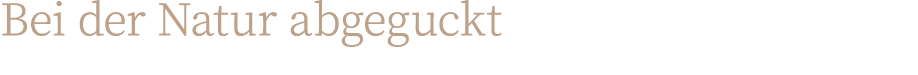 Bei der Natur abgeguckt
