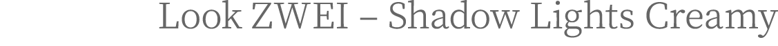 Look ZWEI – Shadow Lights Creamy