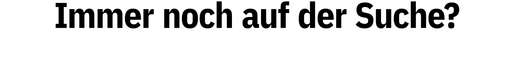 Immer noch auf der Suche 