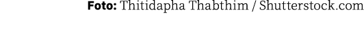 Foto: Thitidapha Thabthim   Shutterstock com