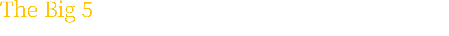 The Big 5 