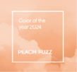 color 2024 Peach Fuzz background