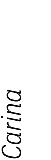 Carina